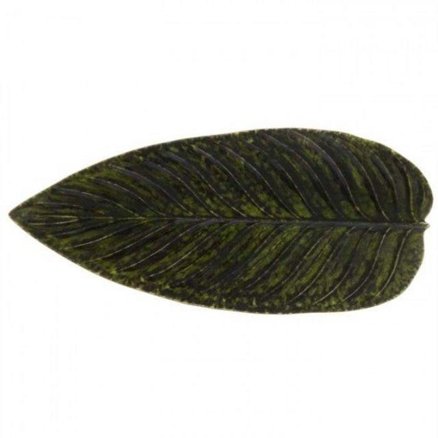 STRELIZIA LEAF 16" RIVIERA in Forets (Dark Green)
