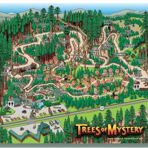 Trees of Mystery (Honeymoon)