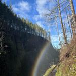 Multnomah Falls