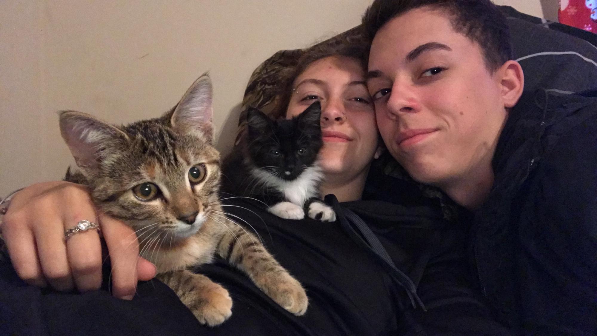 2017 Kitty party!