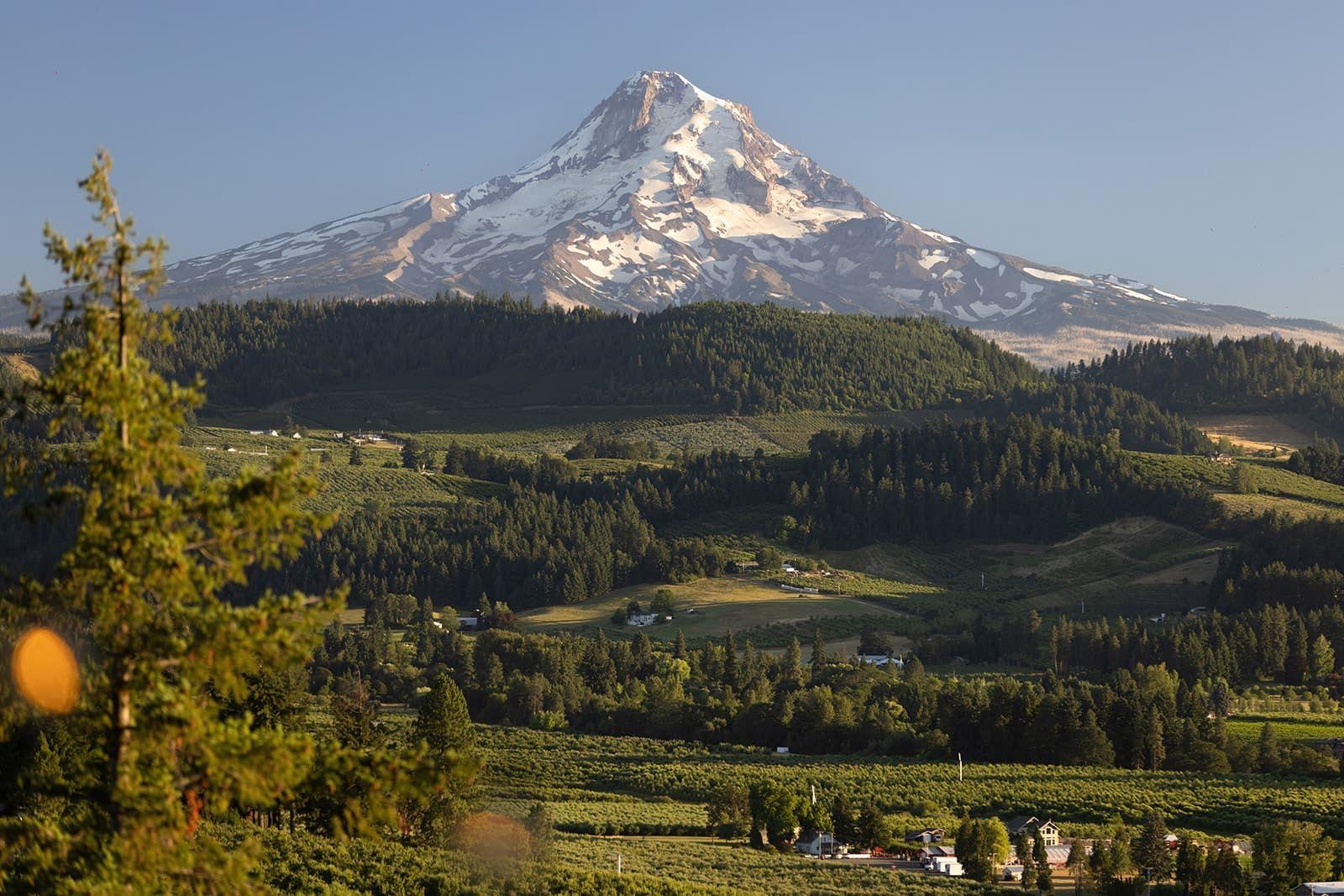 The Wedding Website of Emmilee Henderson and Richard Villarreal