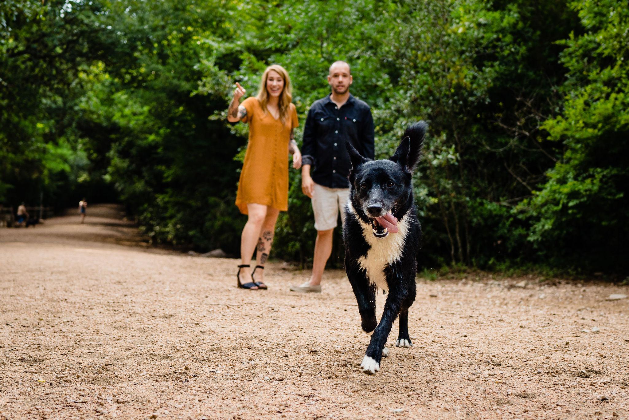 The Wedding Website of Amanda Clarke and Rick Fromberg