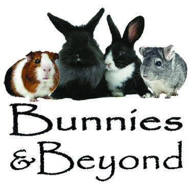 Bunnies & Beyond - Donation!