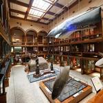 Bishop Museum