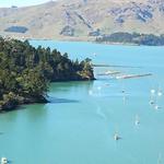 lyttelton