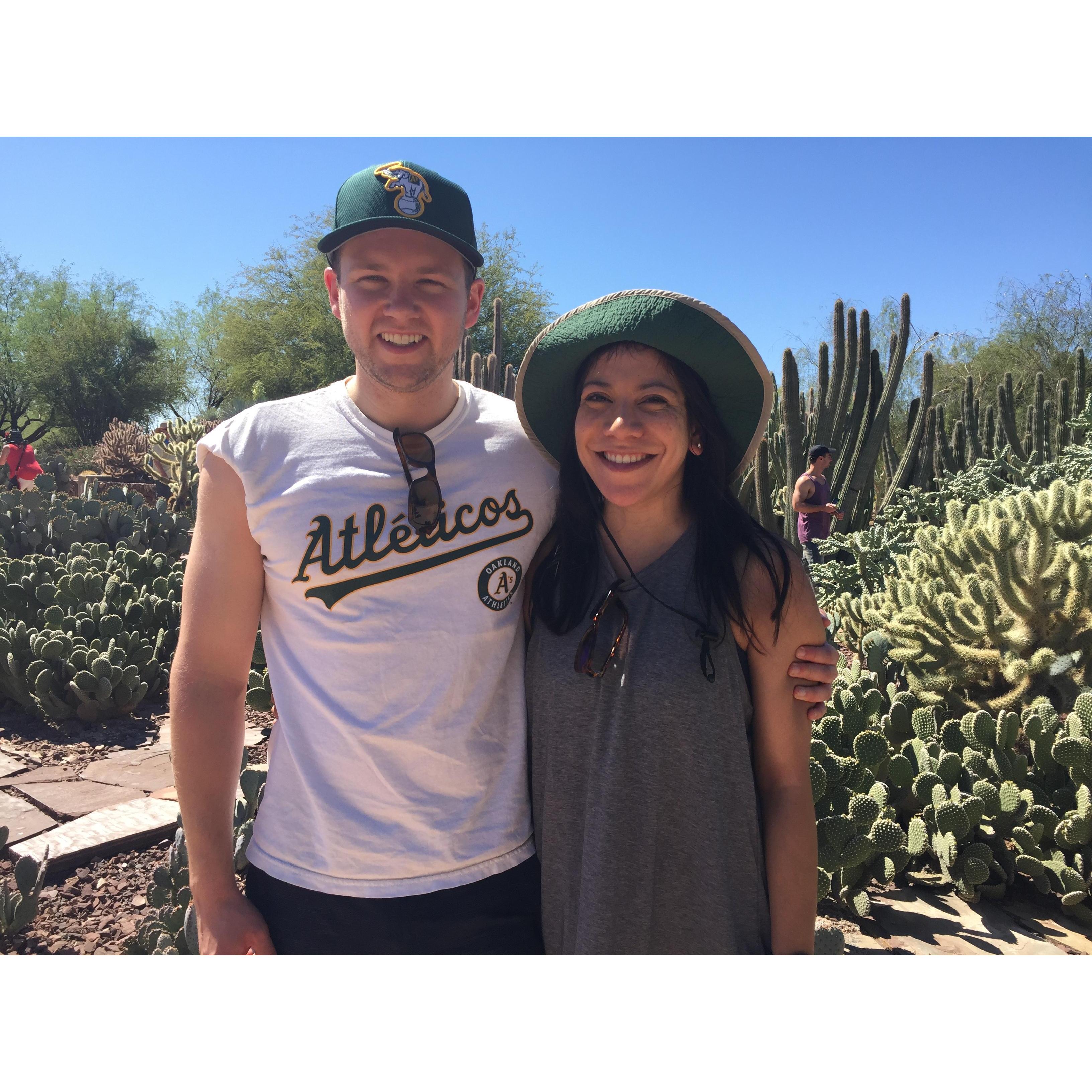 Spring Training (2017)