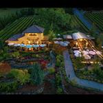 DANCIN Vineyards