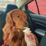 Joe Bean's Express Espresso