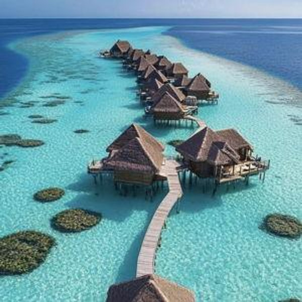 Honeymoon Fund