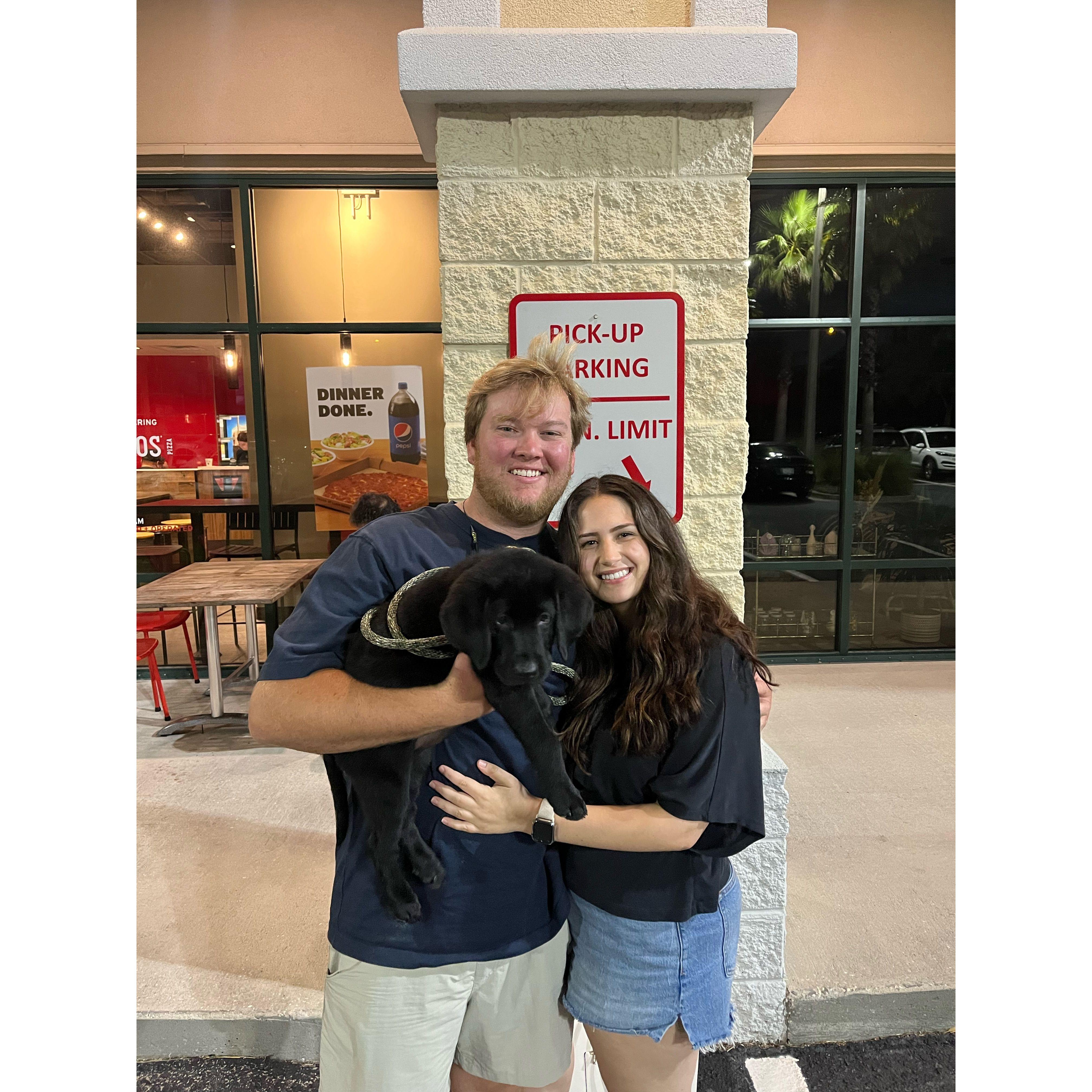 A summer with Goose!