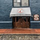 Saddle Bags Savannah