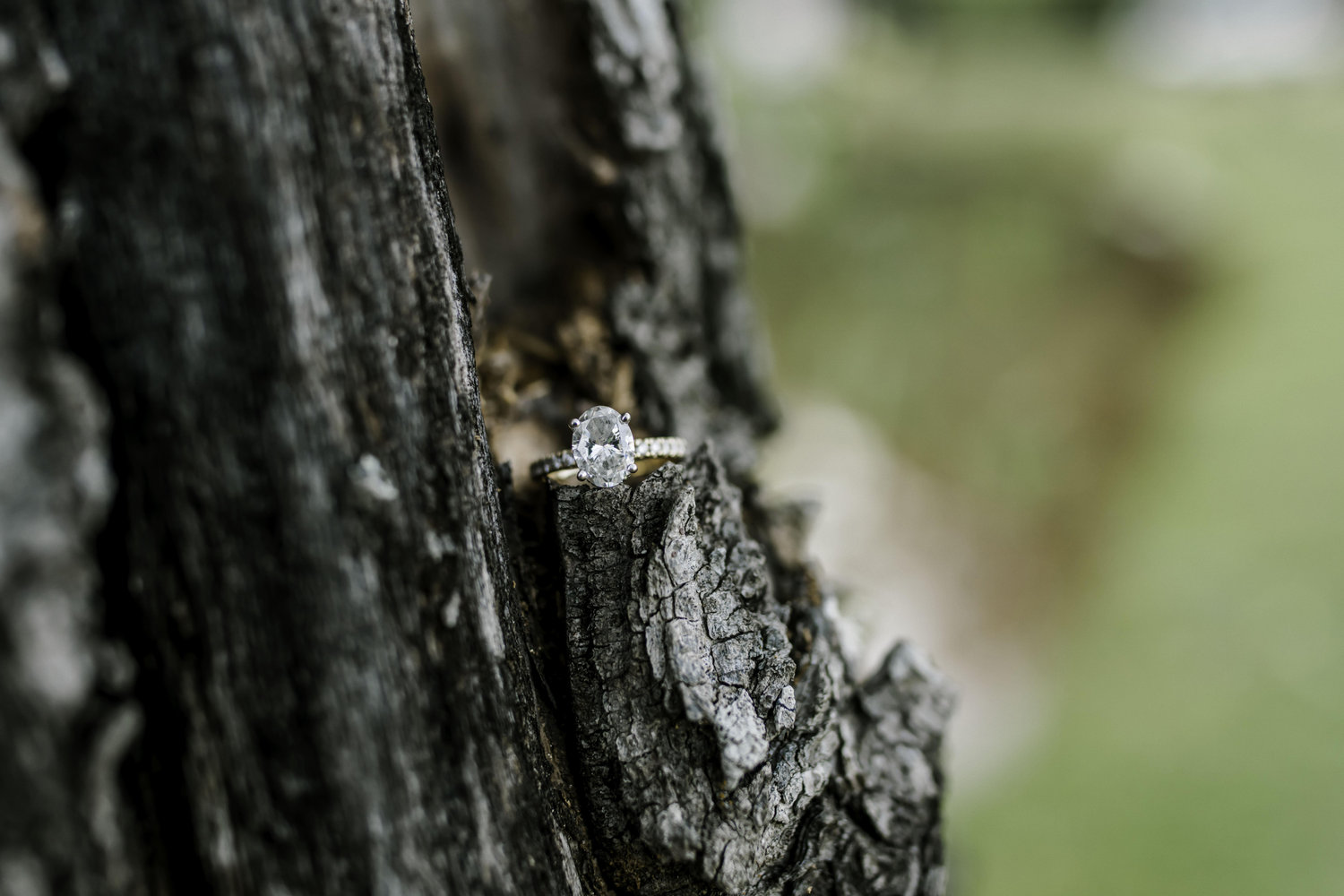 The Wedding Website of Savannah Kemp and Garrett Cole