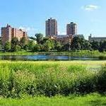 Loring Park