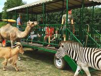 Aikman Wildlife Adventure