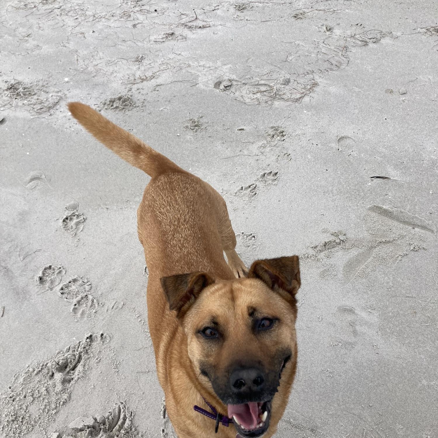Tilly!