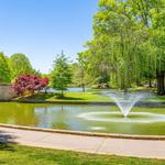 Freedom Park