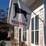The Black Dog Bakery Café