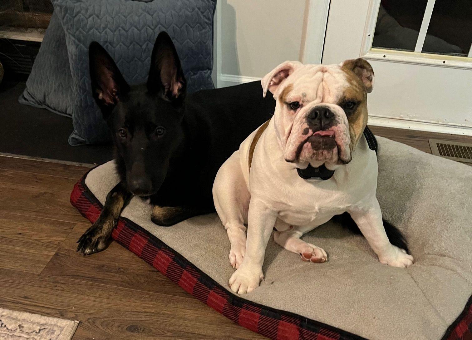 ca098421-ac84-49eb-820f-5076cc97db44