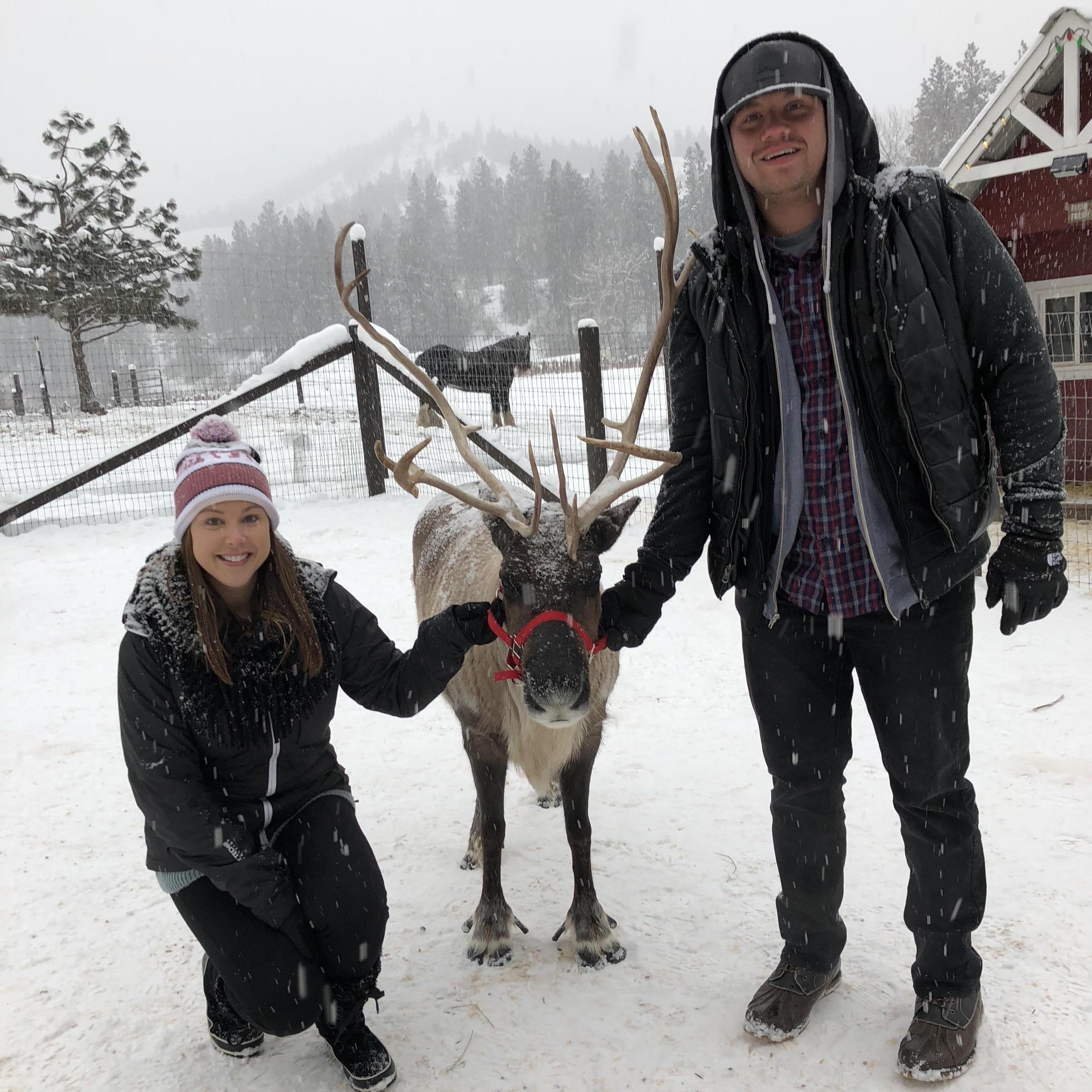 12.28.17. We found Santa's Reindeer!