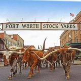 Fort Worth Stockyards