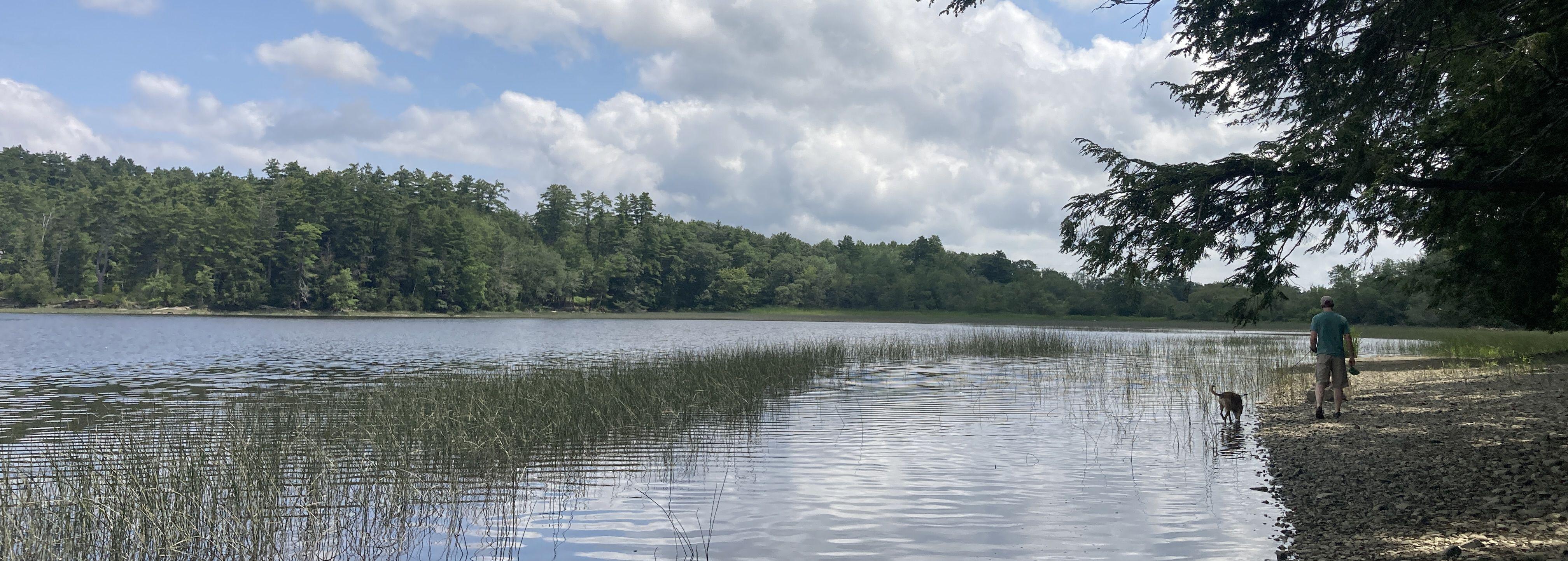 The Wedding Website of Mairi Poisson and Will Chrisman