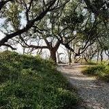 Springer's Point Preserve