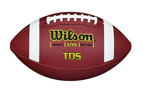 Wilson Composite Football