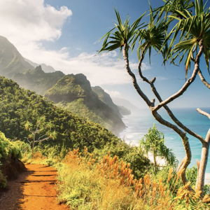 Kalalau Trail Permits
