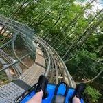 Georgia Mountain Coaster