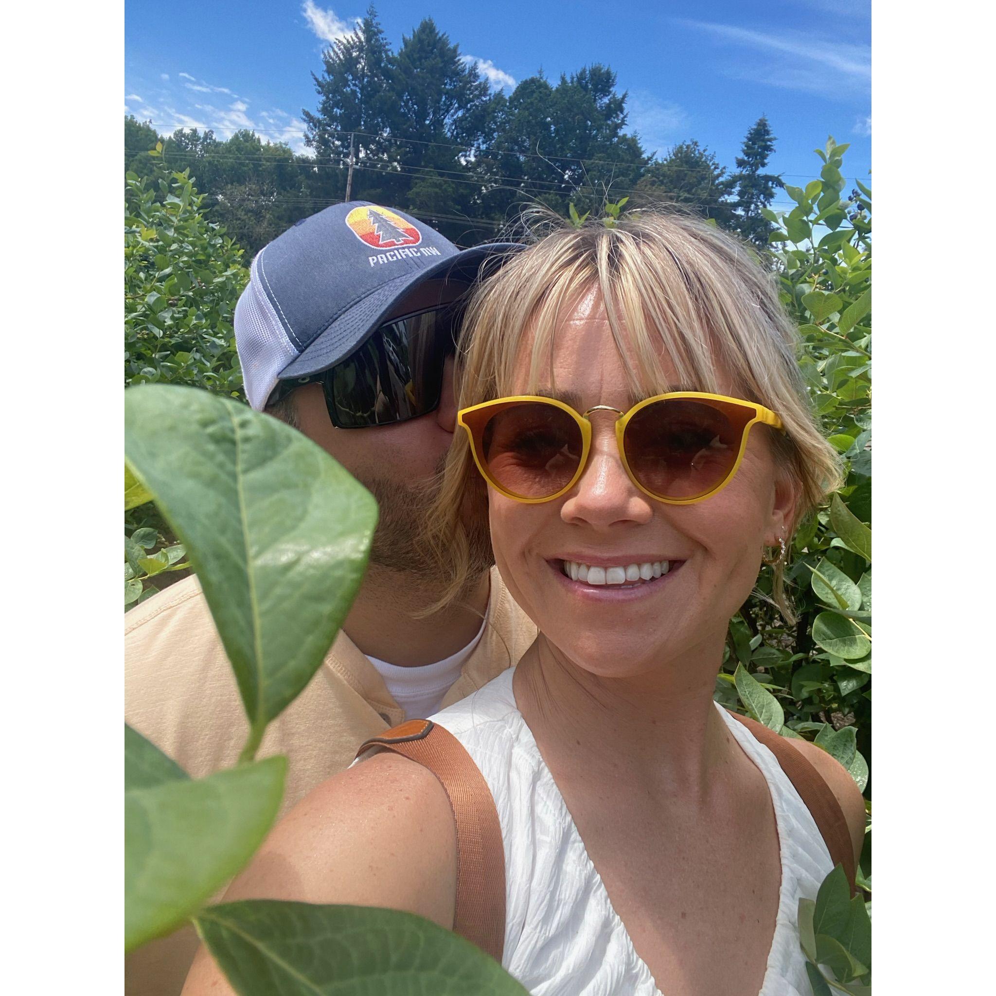 Blueberry pickers