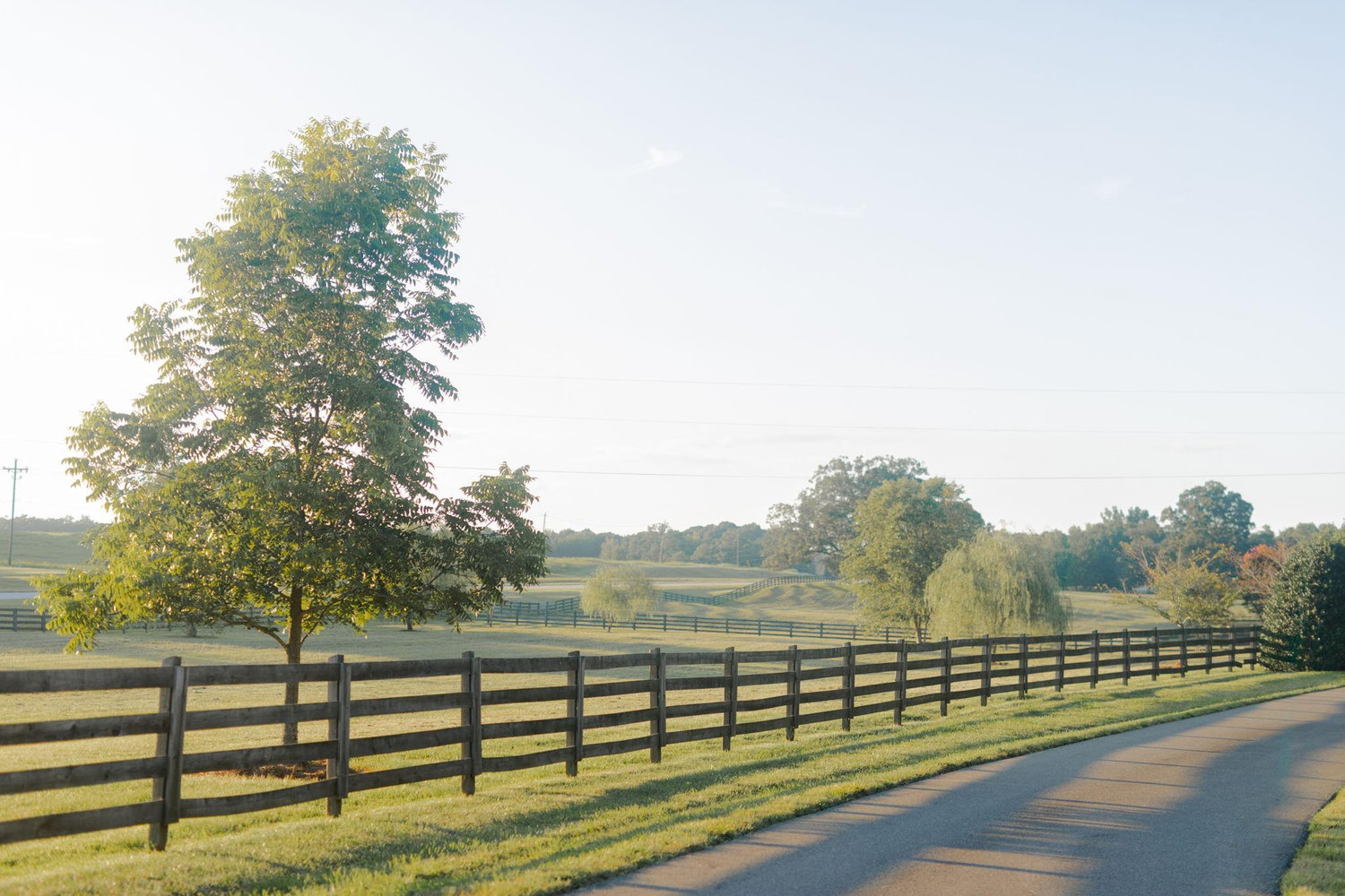The Wedding Website of Baylee Burton and Matthew Kendrick