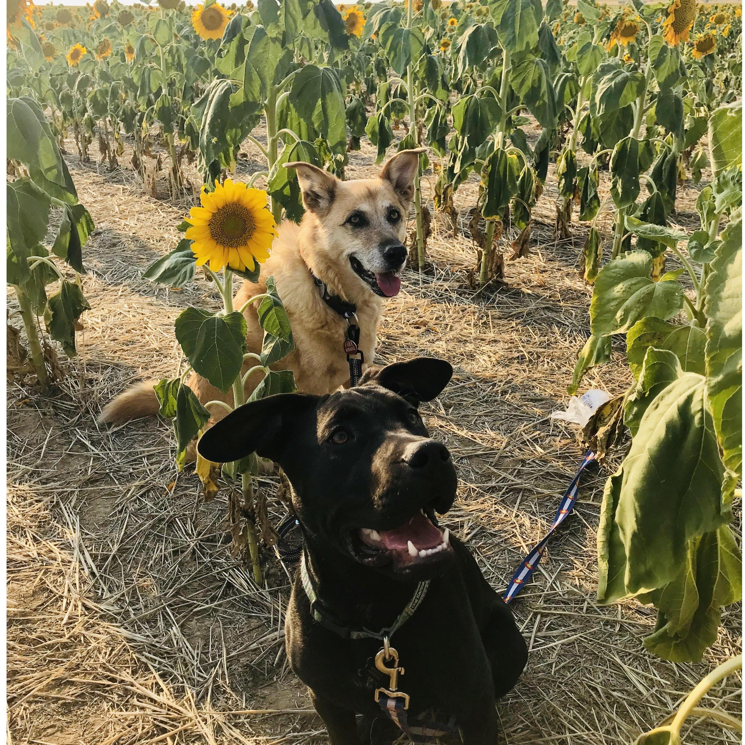 Lyla and Barkley