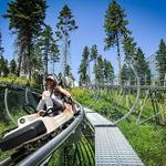 Flathead Lake Alpine Coaster