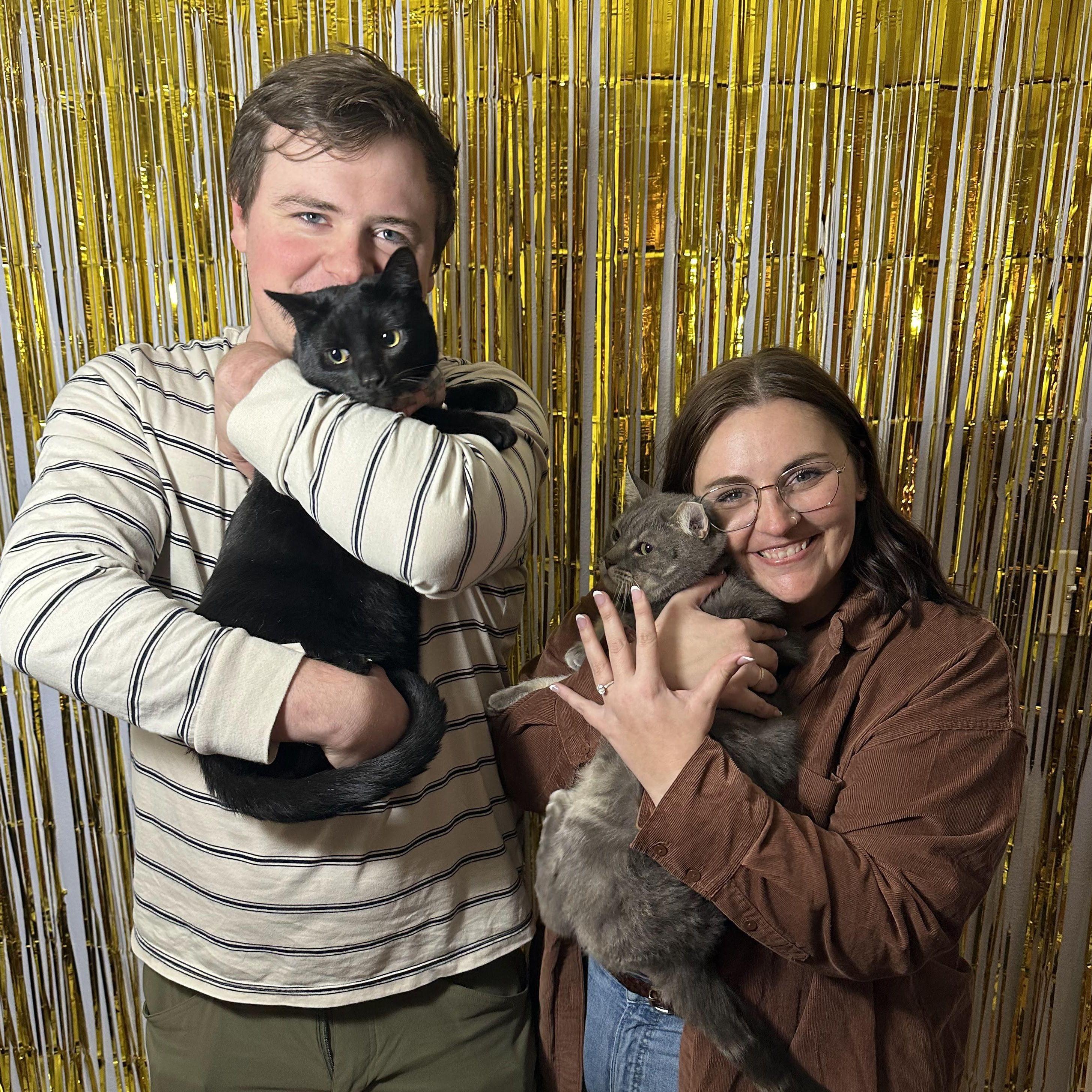 Our cats, Oswald and Remy celebrating our engagement with us.