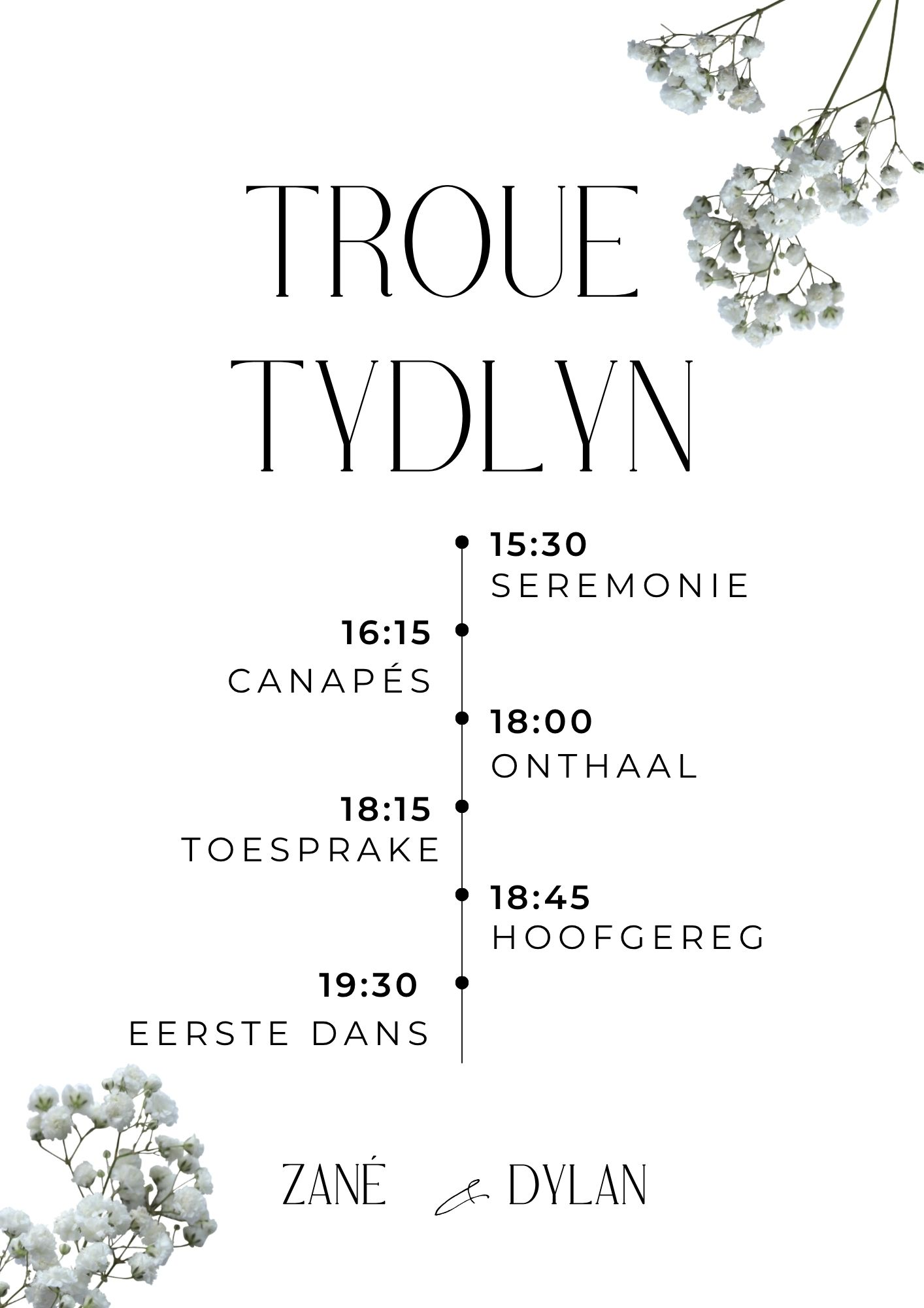 The Wedding Website of Zané Schoeman and Dylan Schultz