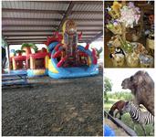 Jubilee Zoo - Petting Zoo & Play Place