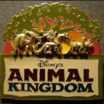 Disney's Animal Kingdom Theme Park