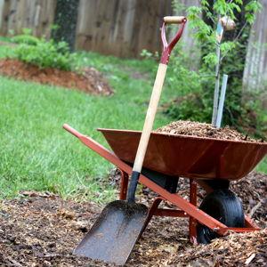 Gardening & Patio Fund