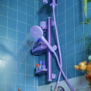 Hand Shower + Filter