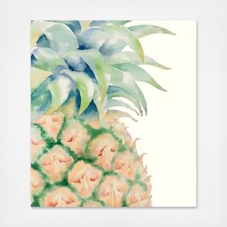 Summer Sweet Canvas Print