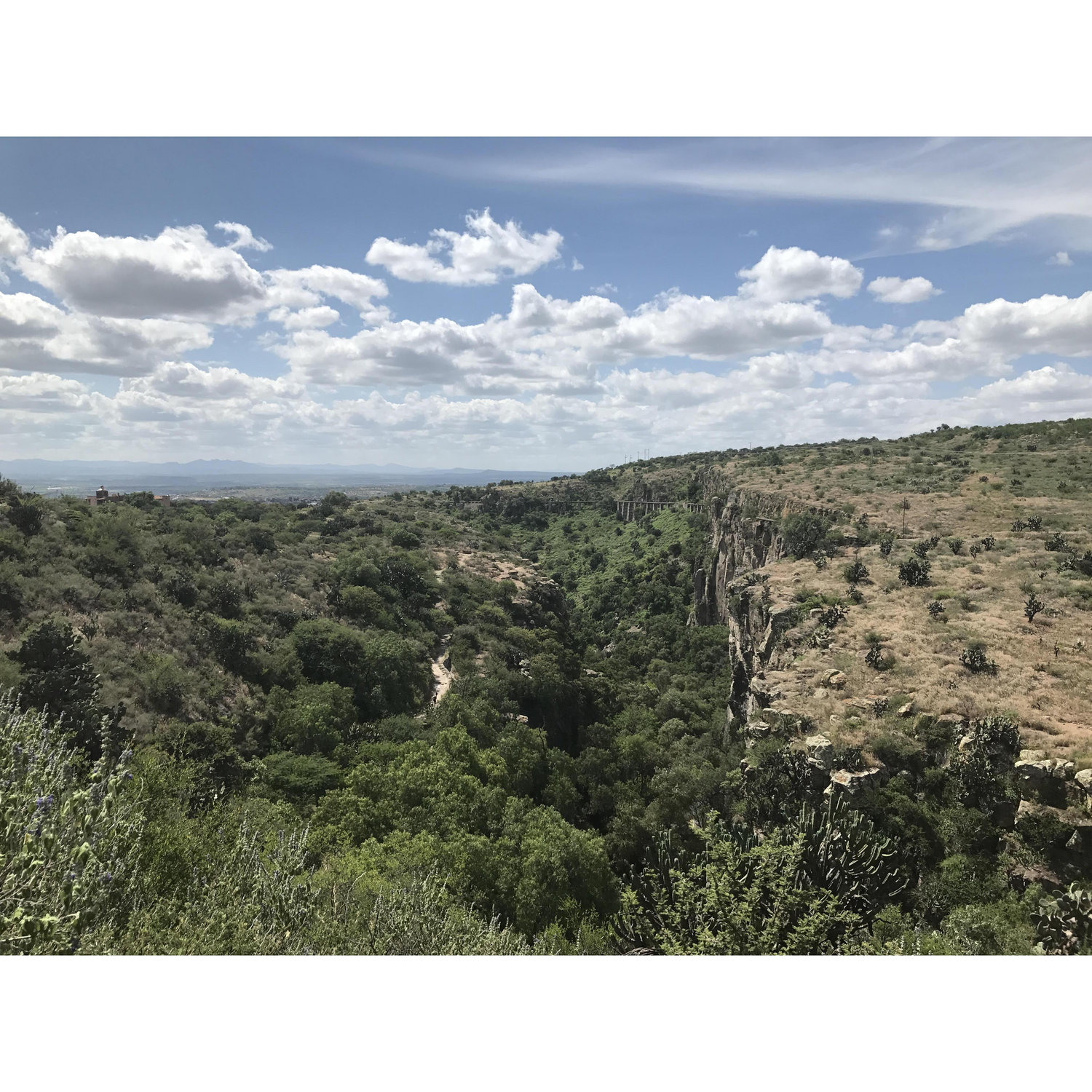 The view of where Luke and I got engaged.
San Miguel, Mexico