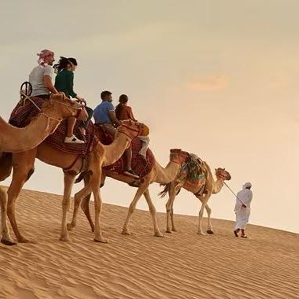 Dubai Desert Safari