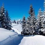 Wanterwanderungen am Kleinwalsertal
