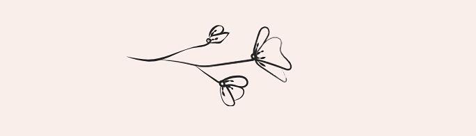 The Wedding Website of Lisa Mitchell and Joel Kenworthy