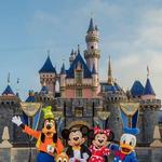 Disneyland Park