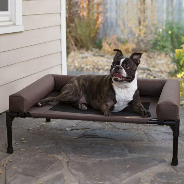 Bolster Pet Cot Elevated Dog Bed, Chocolate, Medium