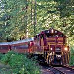 The Skunk Train
