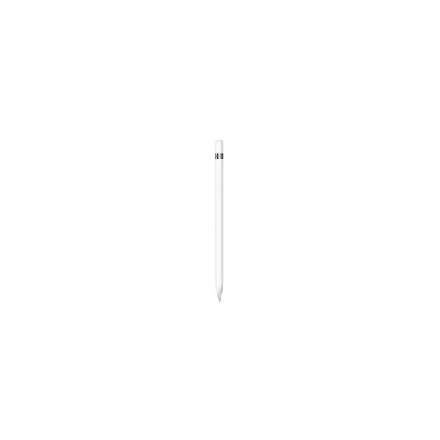 Apple Pencil with USB-C Adapter