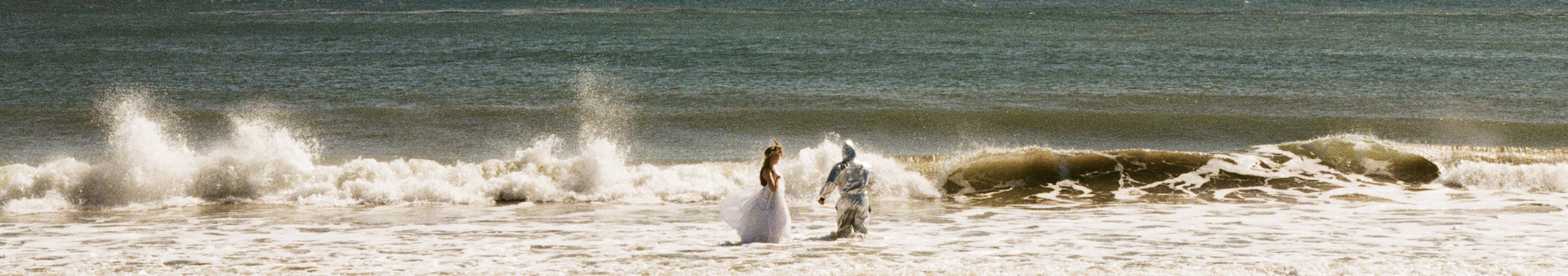 The Wedding Website of Sarah Christine Fenenga and Michael Kaelin Shea