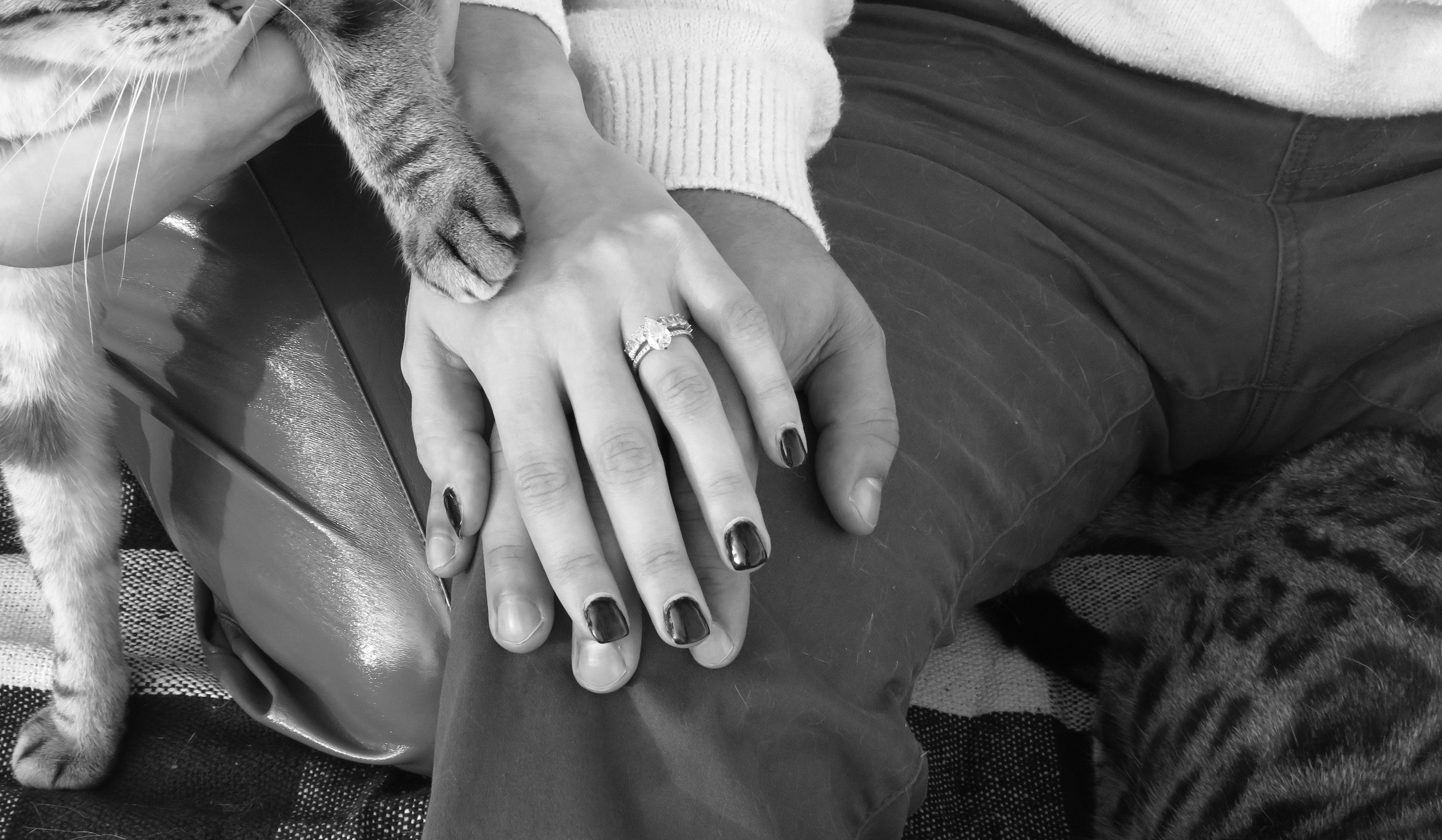 The Wedding Website of Veronica Bellardini and Manny Manns